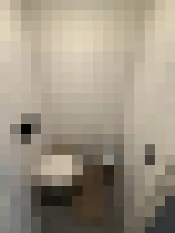 Vleesstraat 2 Venlo thumbnail 5