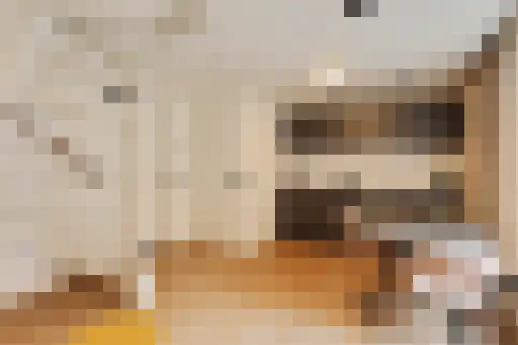 Vleesstraat 2 Venlo thumbnail 5