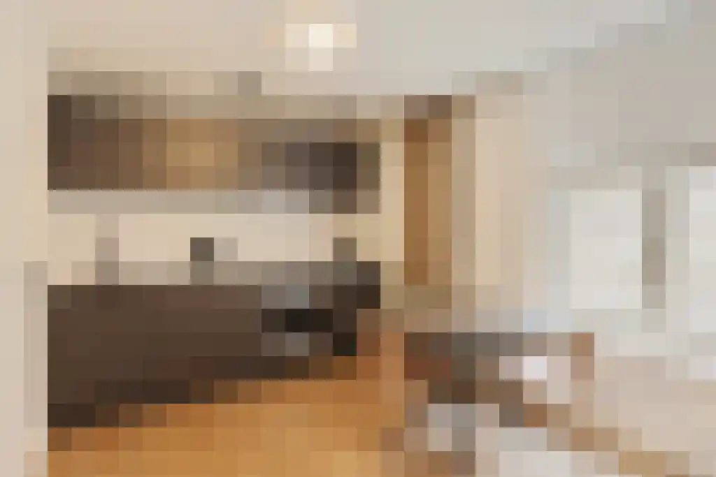 Vleesstraat Venlo thumbnail 4