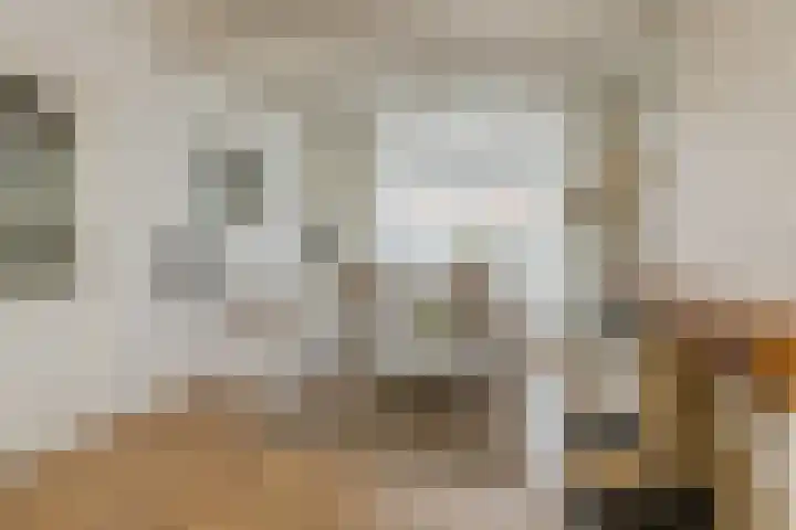 Vleetstraat 33 IJmuiden thumbnail 14