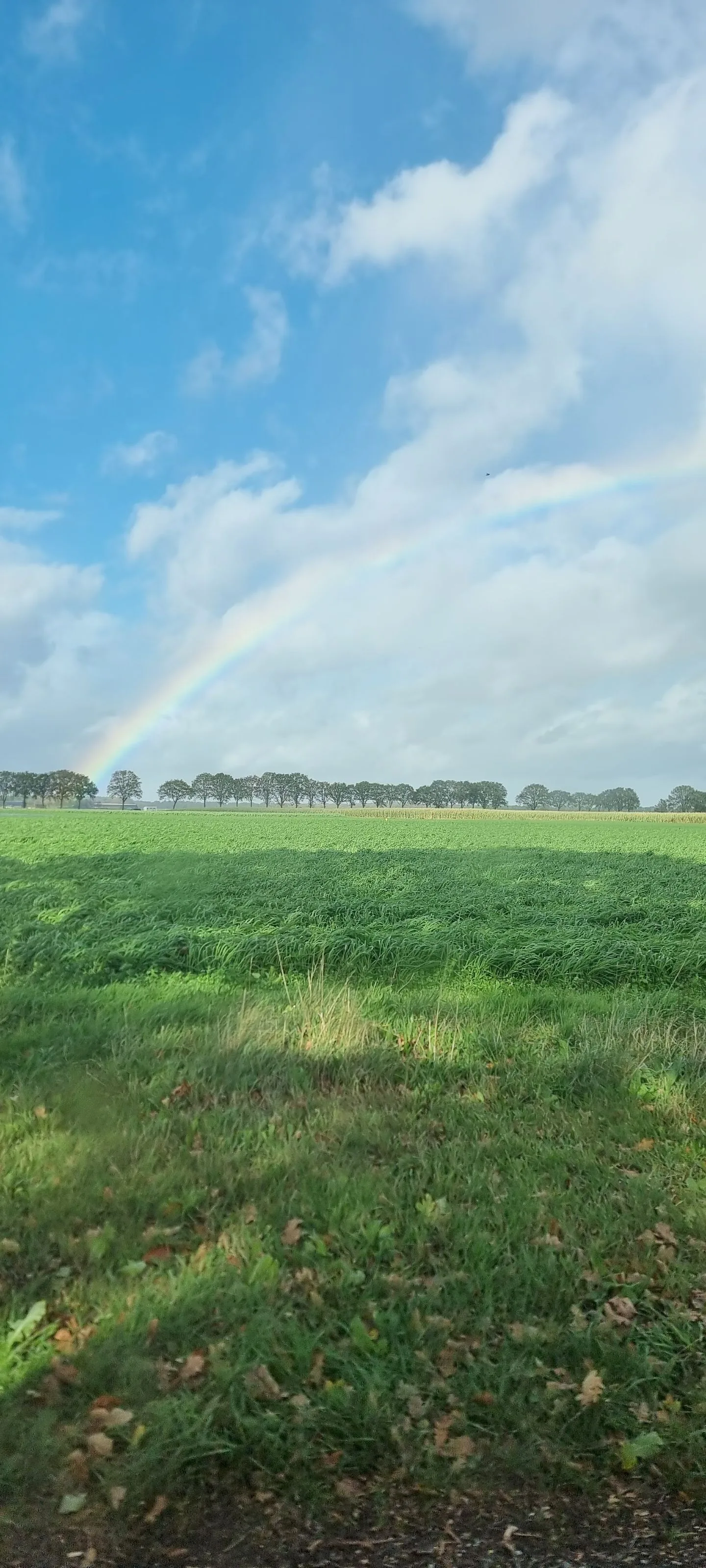 Vleetweg 12 Wouwse Plantage thumbnail 65