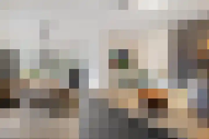 Vlegel 12 Erica thumbnail 11