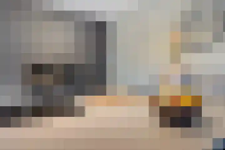Vlegel 12 Erica thumbnail 15