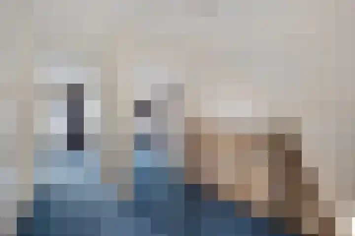 Vlegel 12 Erica thumbnail 23