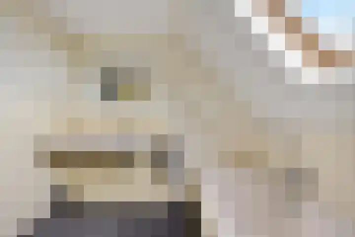 Vlegel 12 Erica thumbnail 30