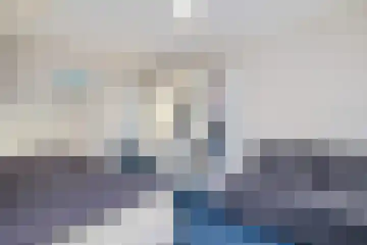Vlegel 12 Erica thumbnail 34