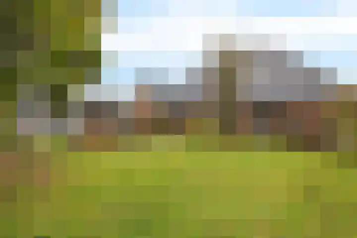 Vlegel 12 Erica thumbnail 39