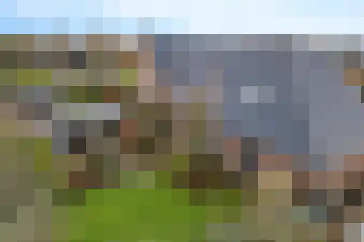 Vlegel 12 Erica thumbnail 40