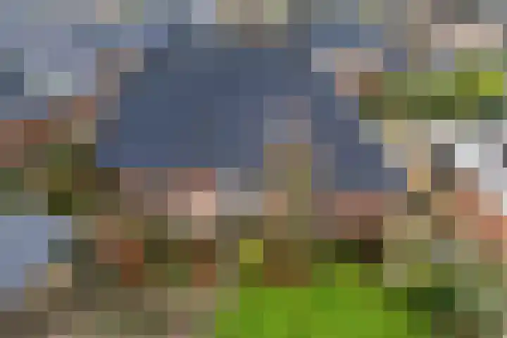 Vlegel 12 Erica thumbnail 41