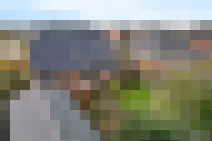 Vlegel 12 Erica thumbnail 42