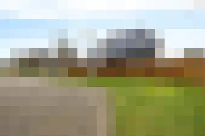 Vlegel 12 Erica thumbnail 45