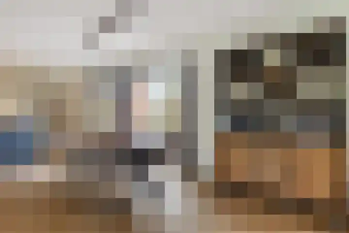 Vlegel 12 Erica thumbnail 9