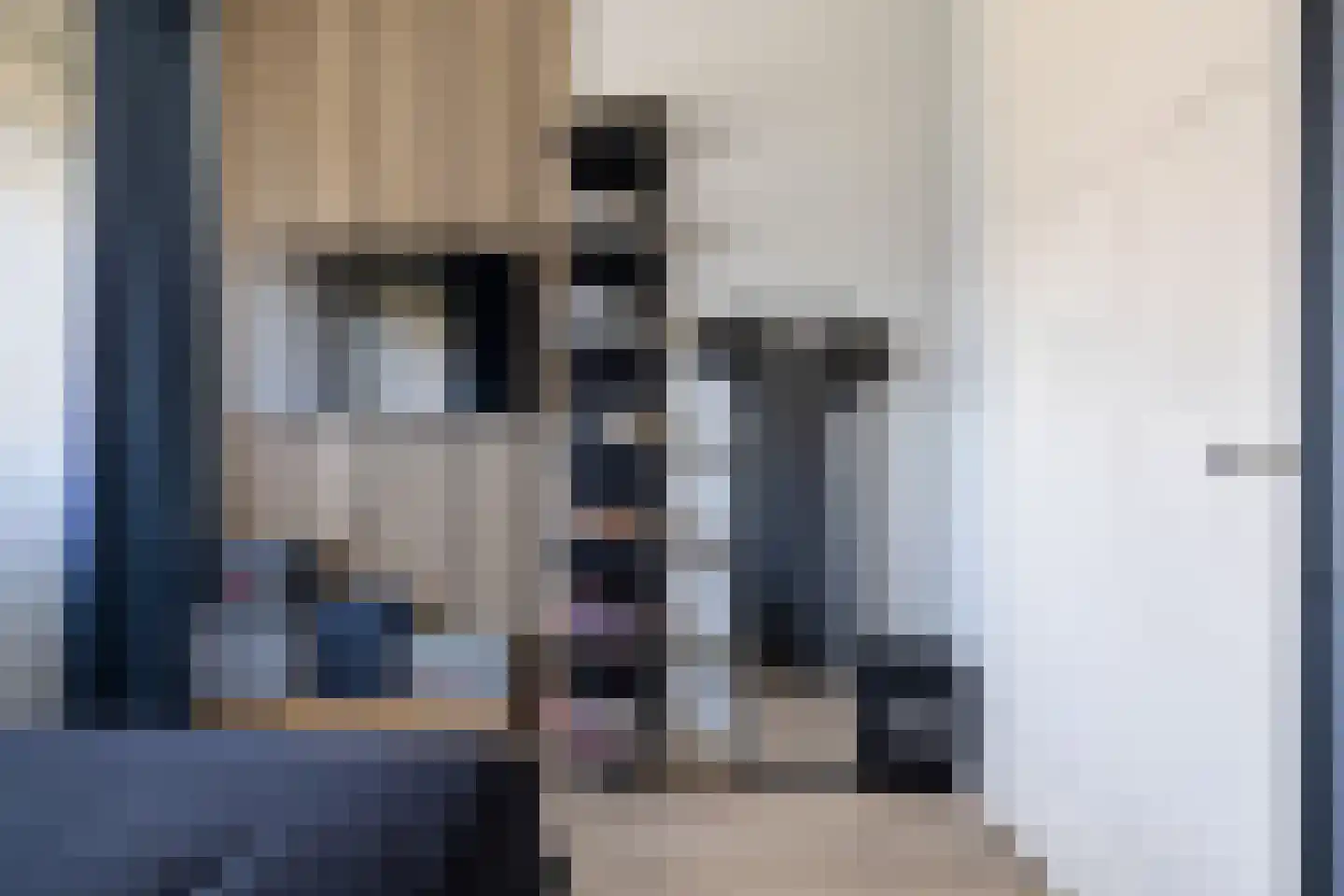 Vlegel 17 Erica thumbnail 22