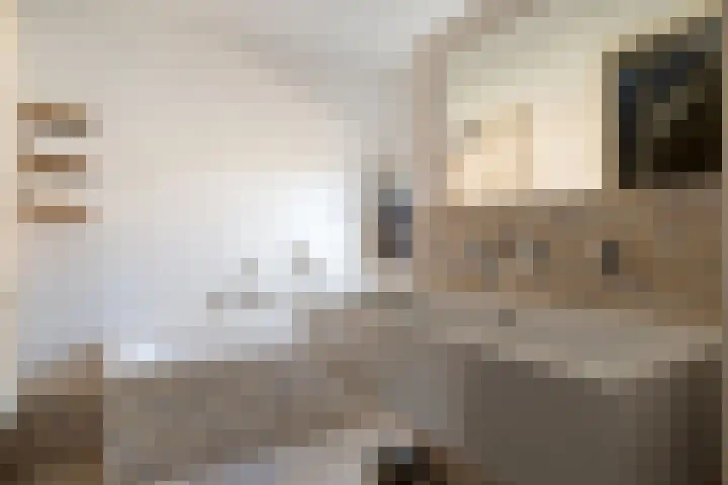 Vlegel 17 Erica thumbnail 27