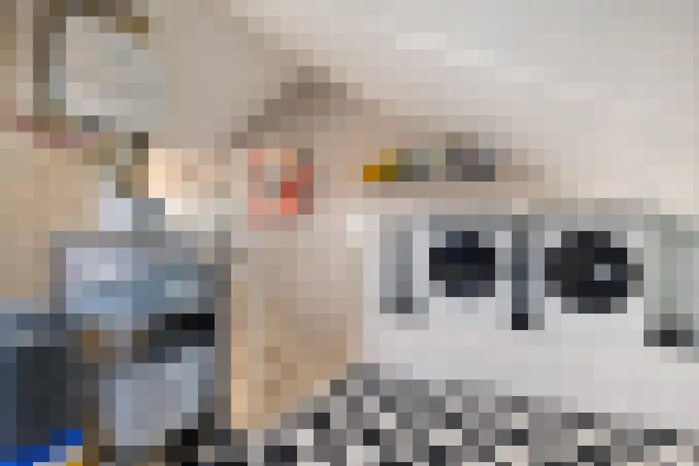 Vlegel 17 Erica thumbnail 32