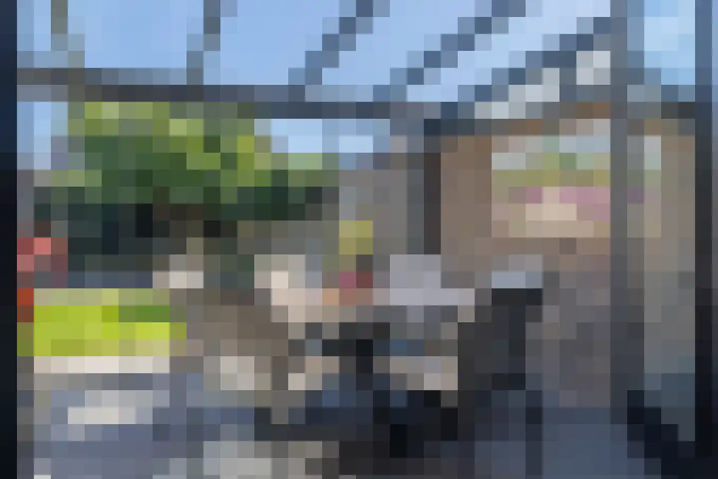 Vlegel 17 Erica thumbnail 36