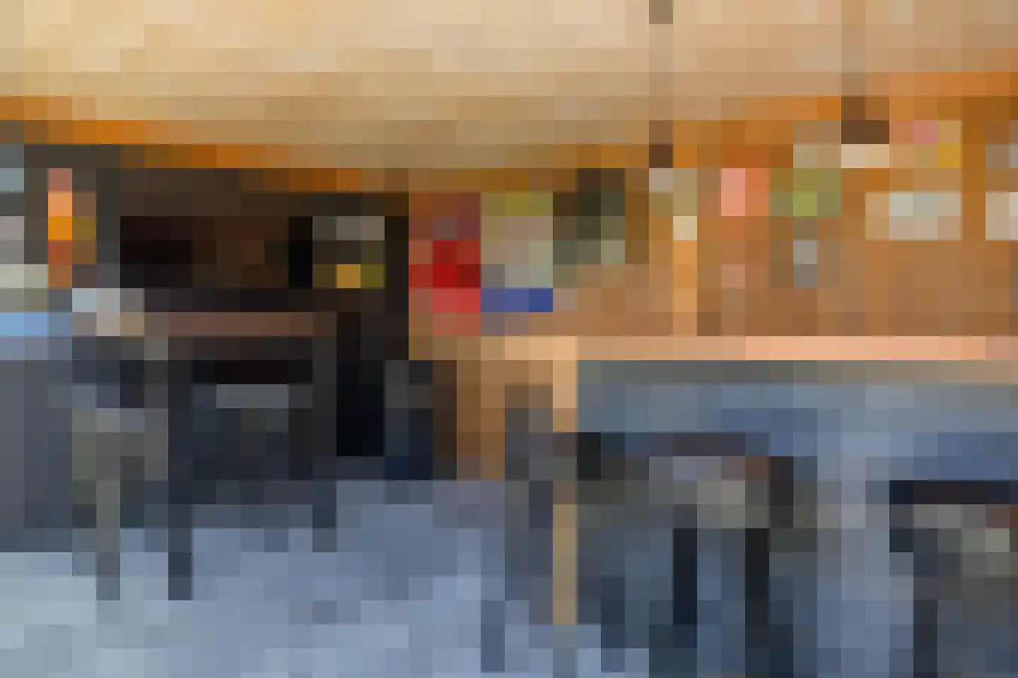 Vlegel 17 Erica thumbnail 4