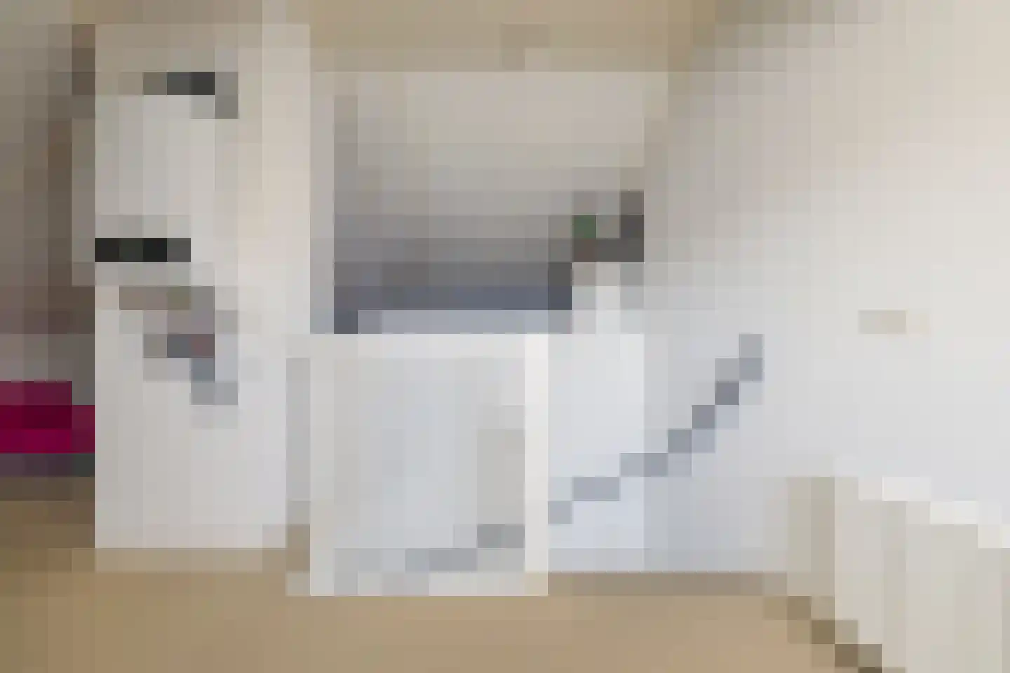Vlegel 19 Erica thumbnail 33