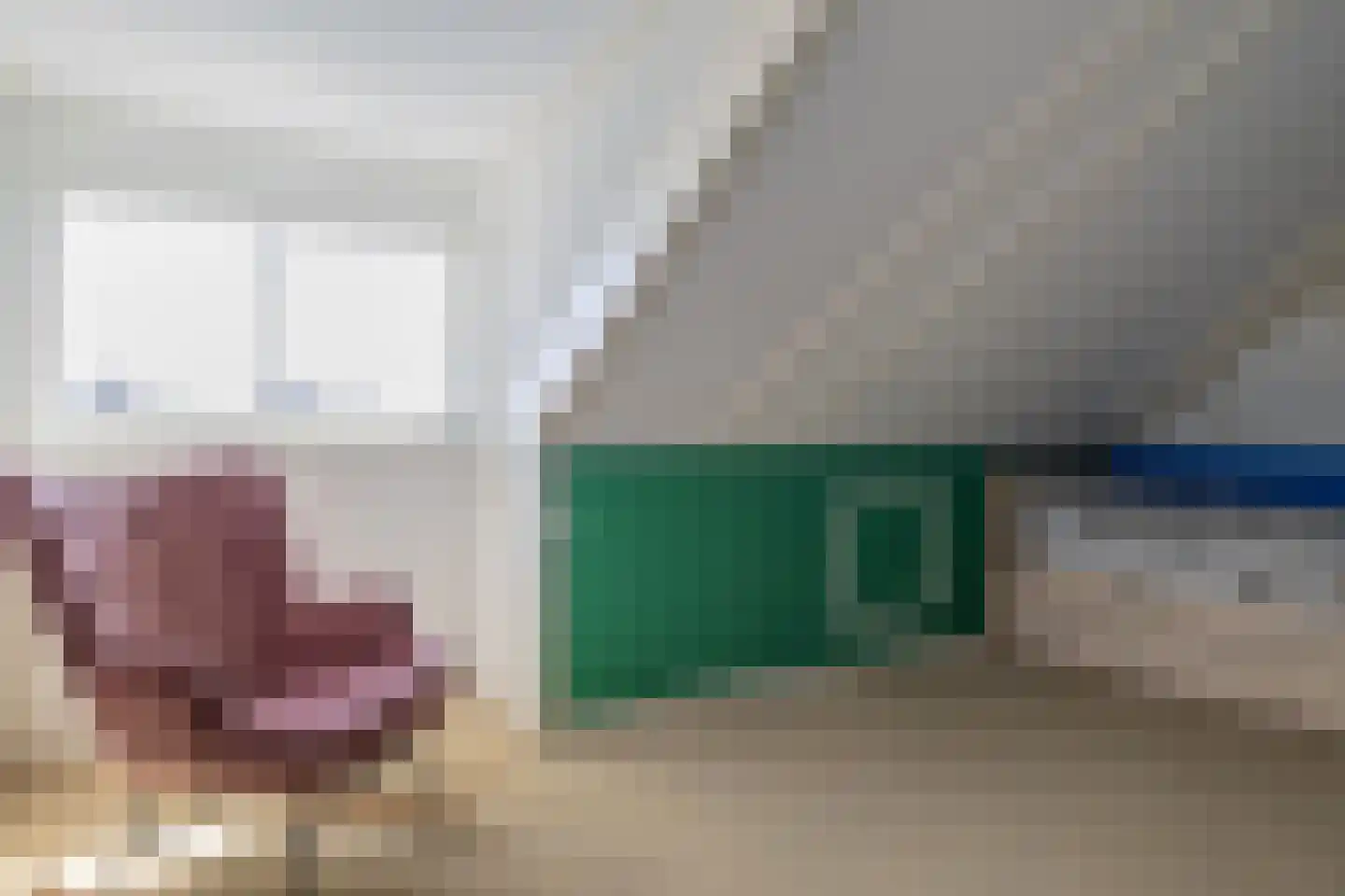 Vlegel 19 Erica thumbnail 34
