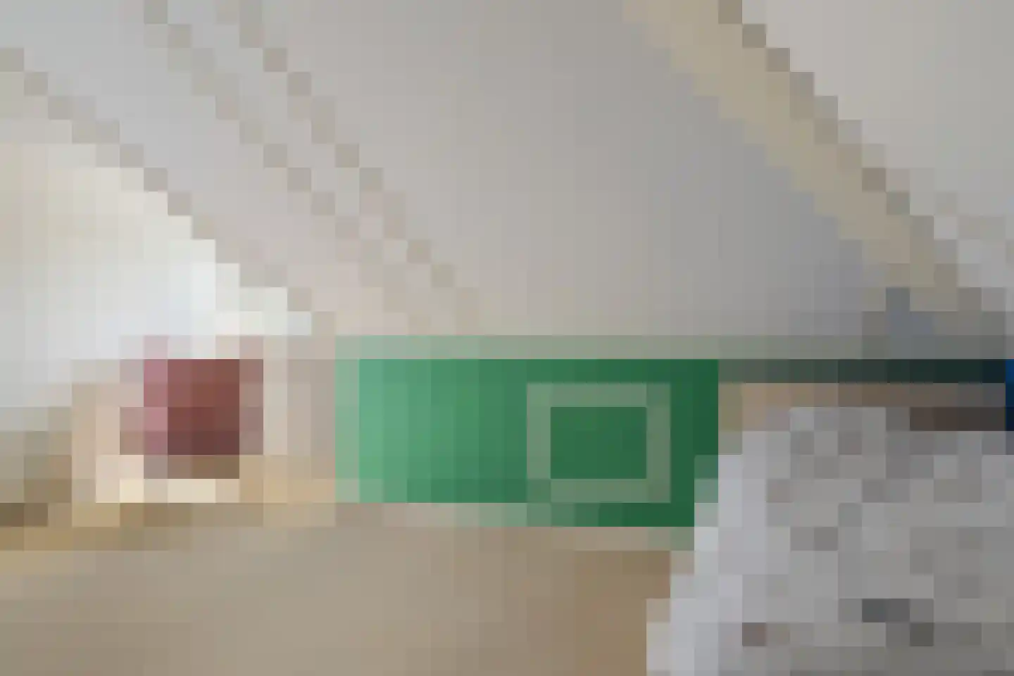 Vlegel 19 Erica thumbnail 35