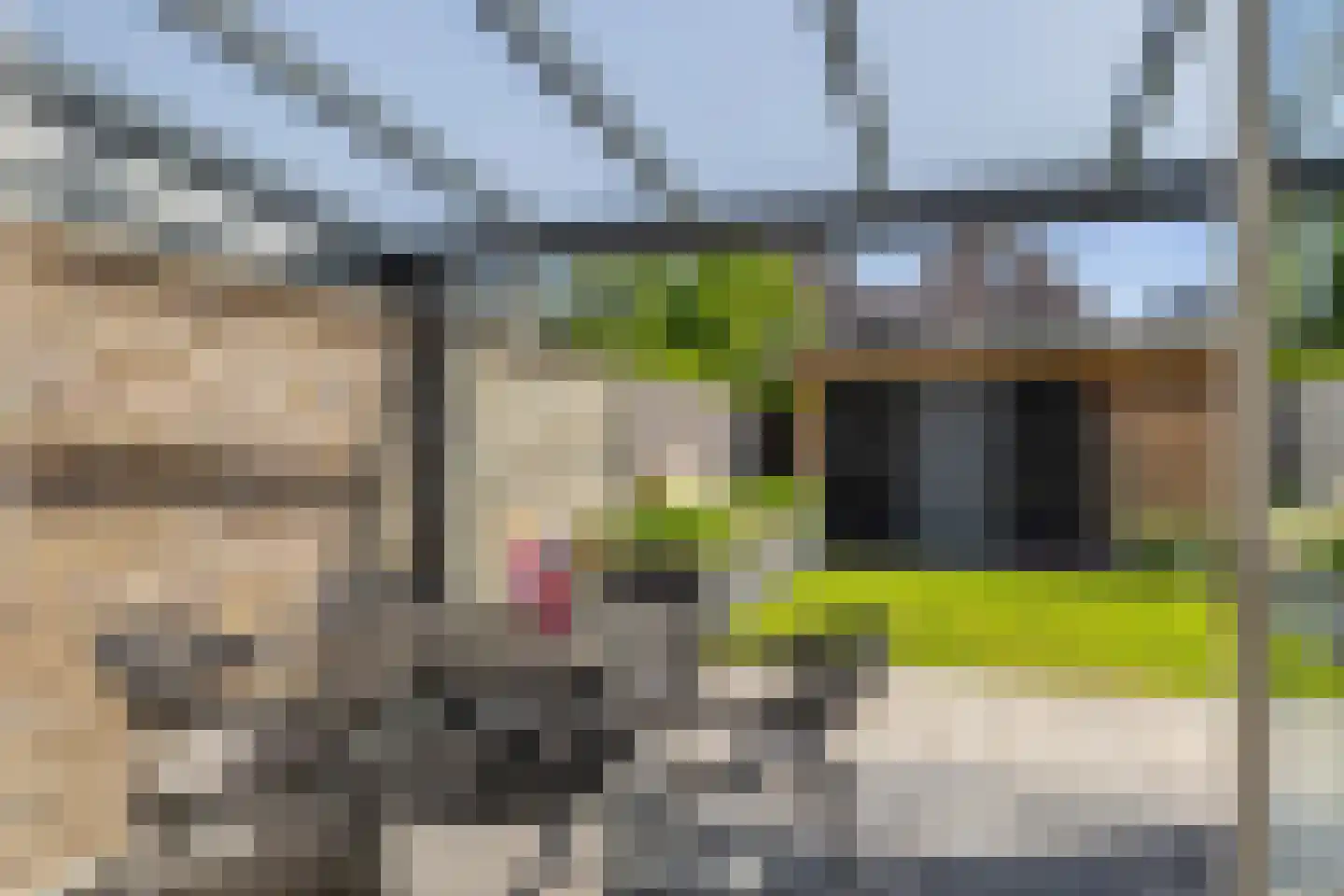 Vlegel 19 Erica thumbnail 38