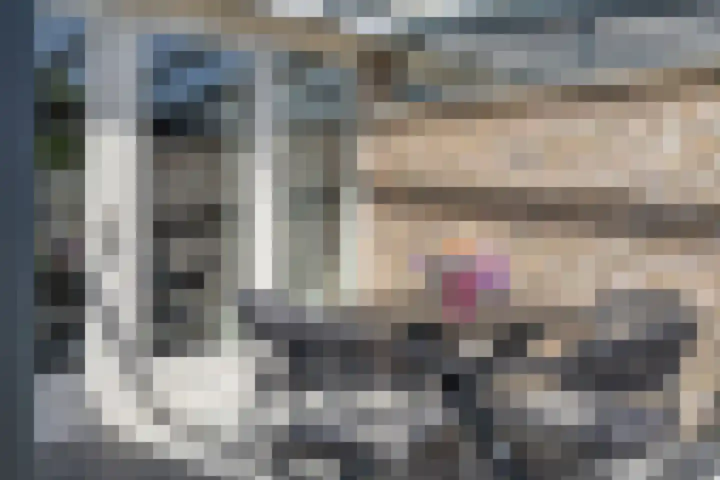 Vlegel 19 Erica thumbnail 39