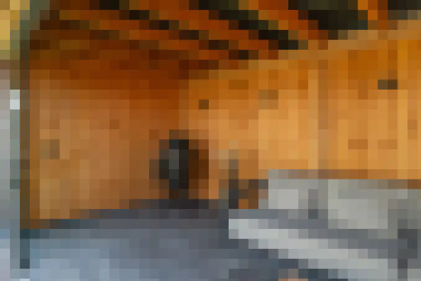 Vlegel 19 Erica thumbnail 44