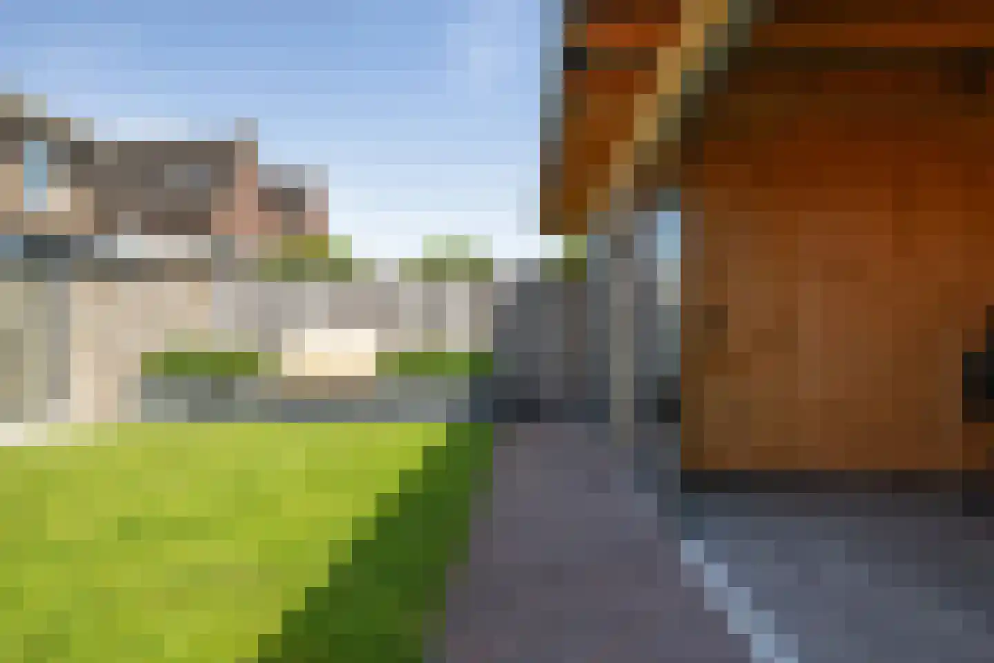 Vlegel 19 Erica thumbnail 45