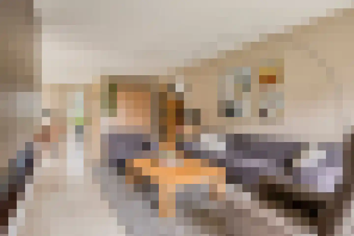 Vlegel 28 Erica thumbnail 11