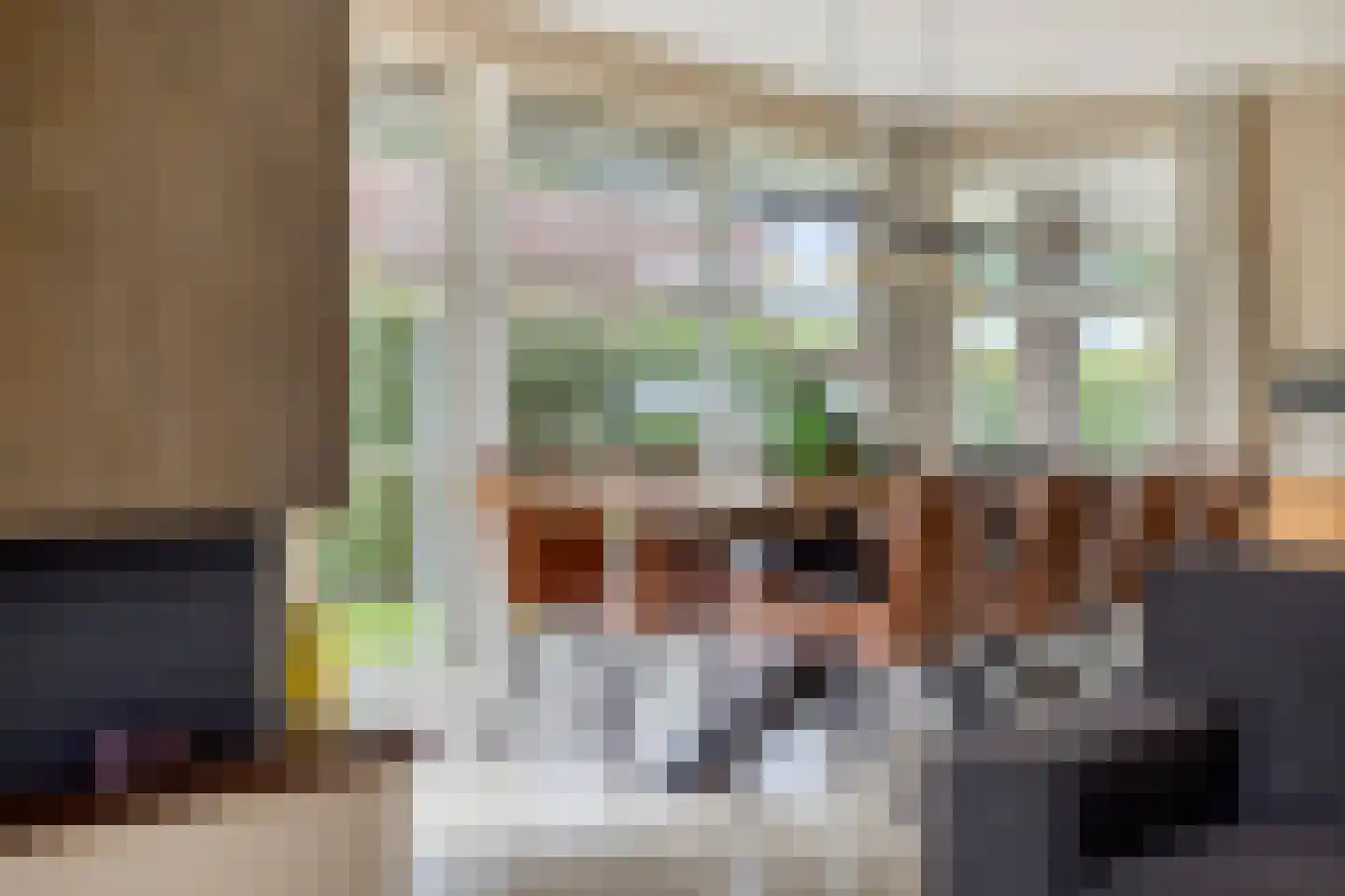 Vlegel 28 Erica thumbnail 15