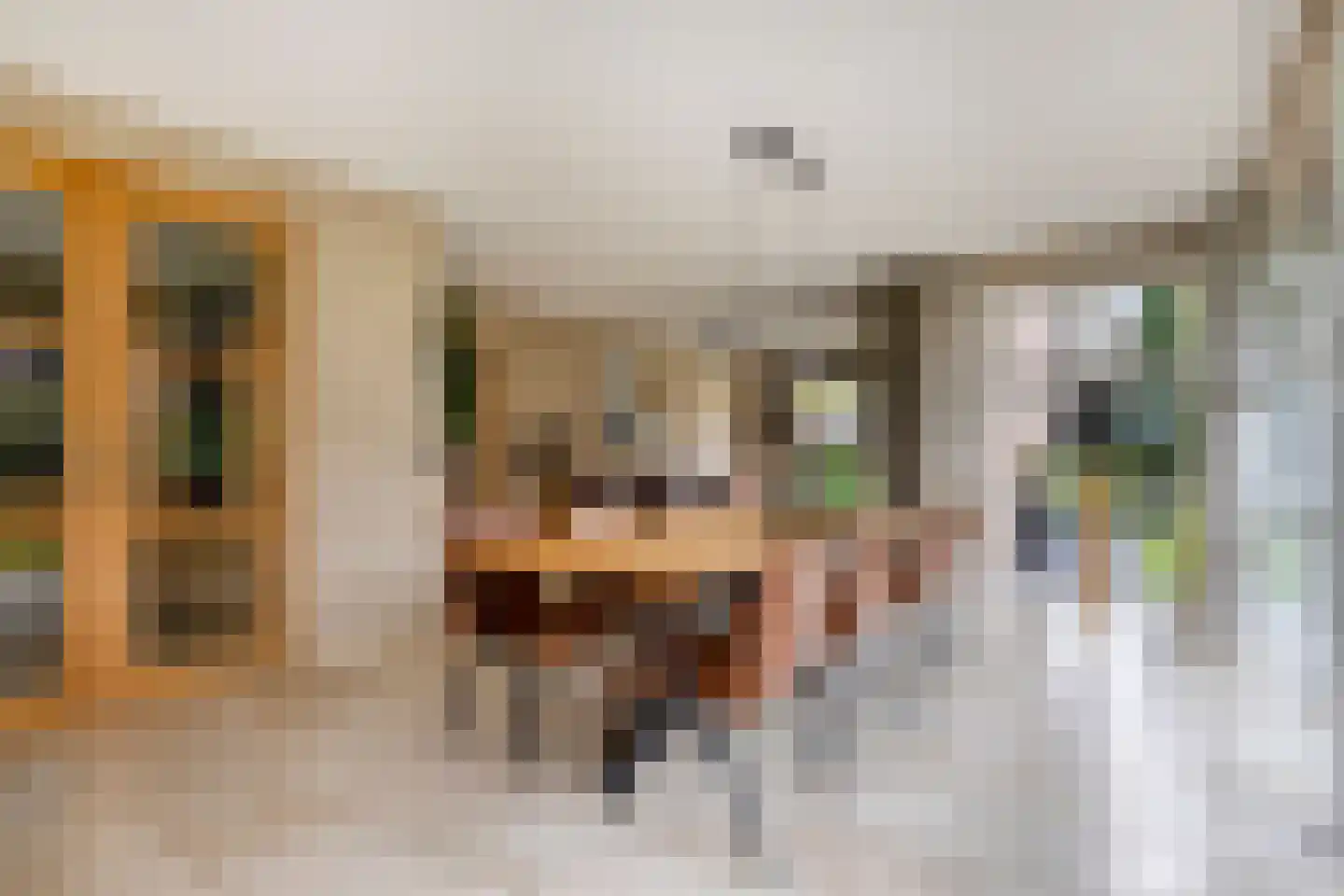 Vlegel 28 Erica thumbnail 17