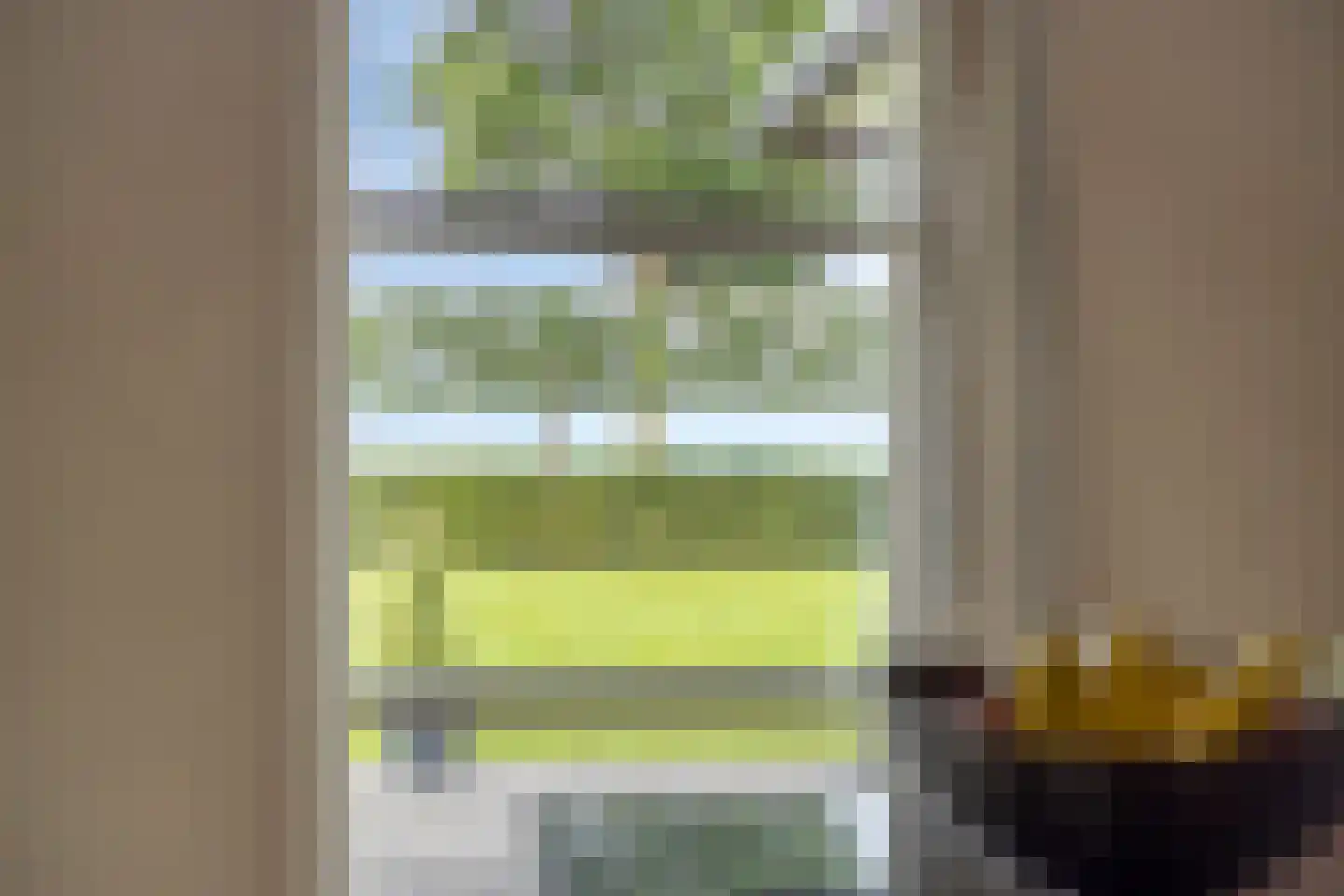 Vlegel 28 Erica thumbnail 26