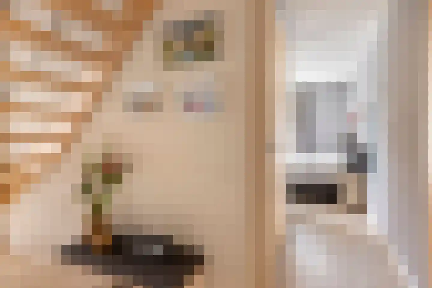 Vlegel 28 Erica thumbnail 30