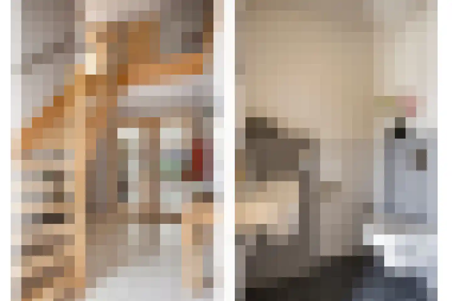 Vlegel 28 Erica thumbnail 33