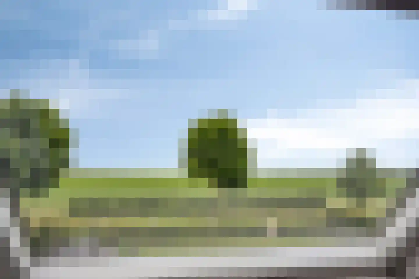 Vlegel 28 Erica thumbnail 44