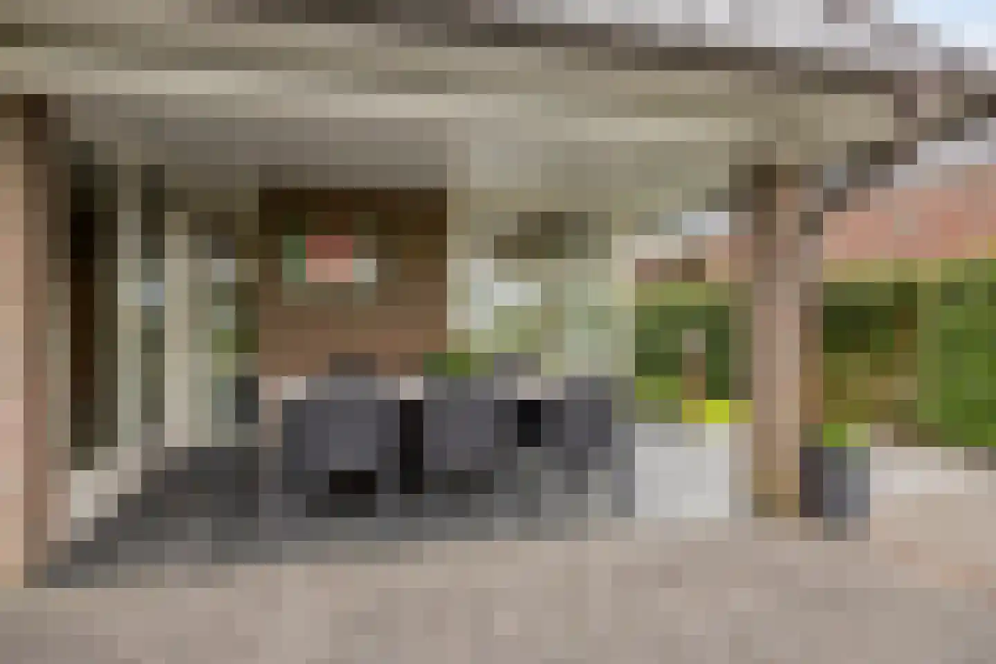 Vlegel 28 Erica thumbnail 47