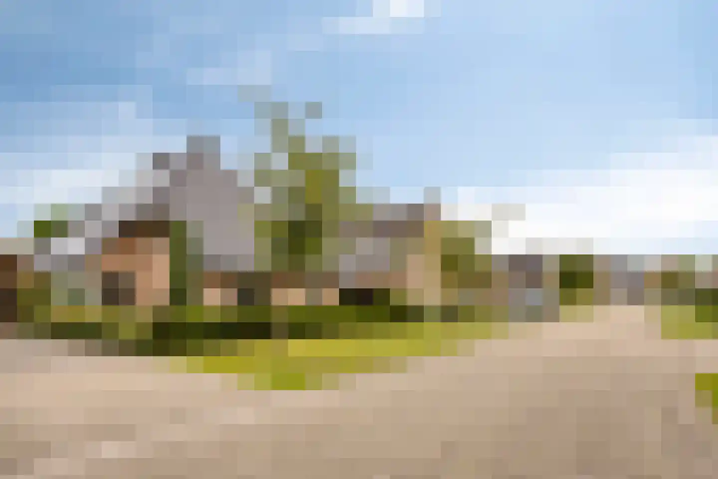 Vlegel 28 Erica thumbnail 5