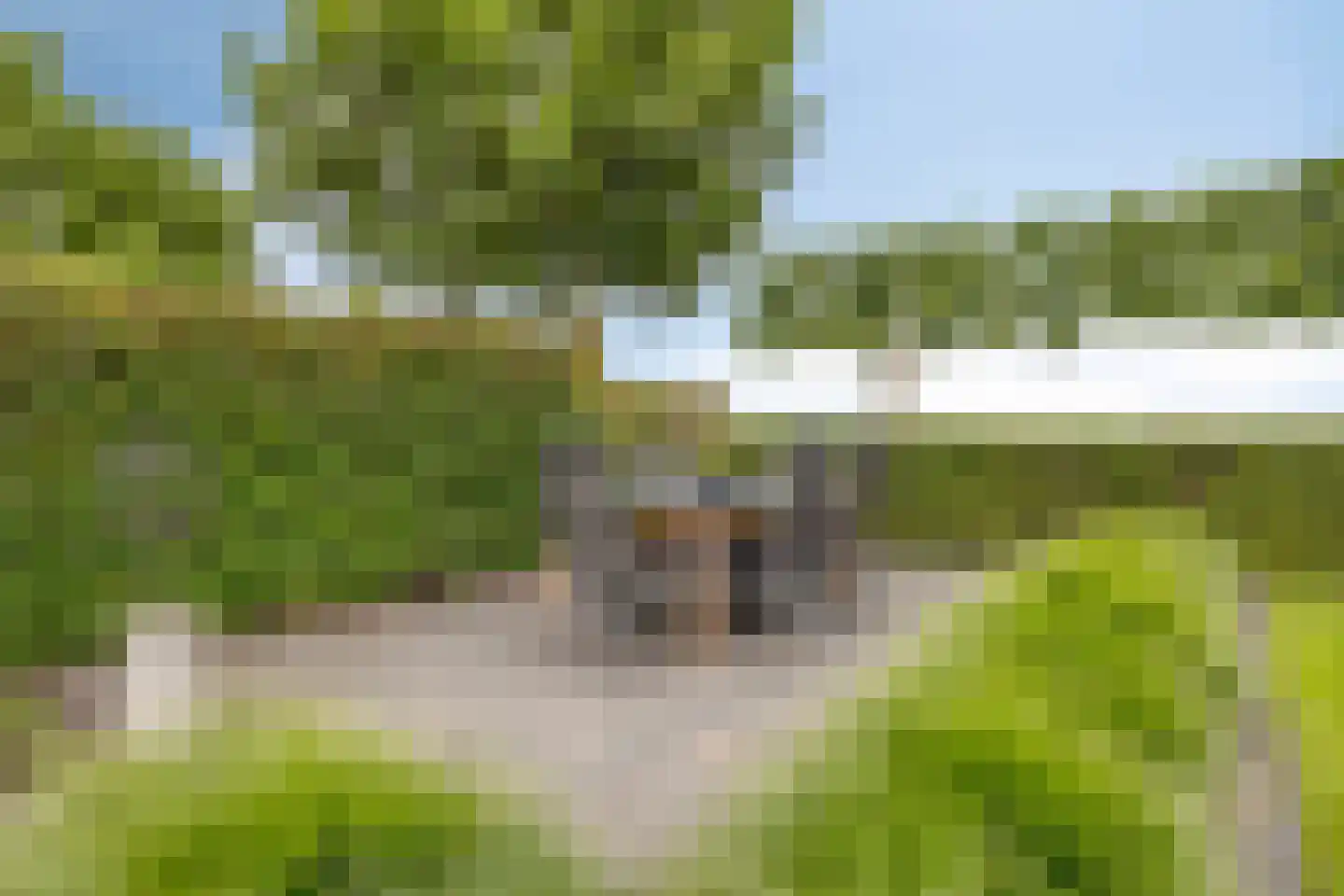 Vlegel 28 Erica thumbnail 51