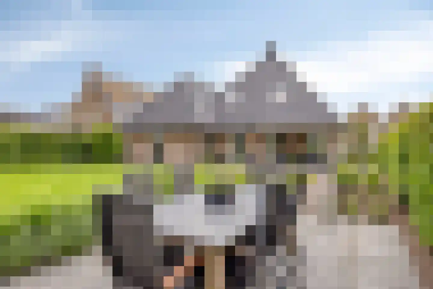 Vlegel 28 Erica thumbnail 52