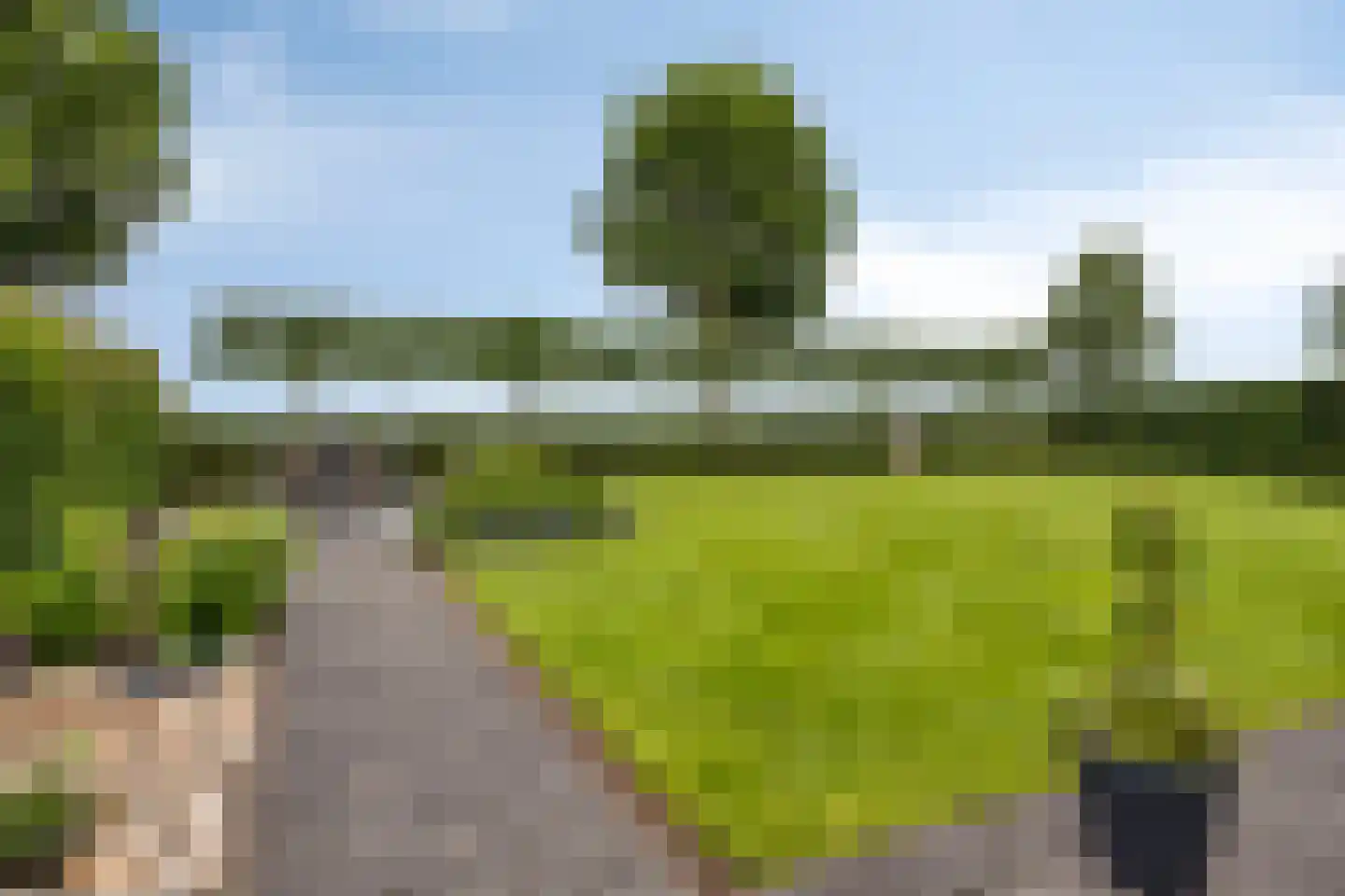 Vlegel 28 Erica thumbnail 54