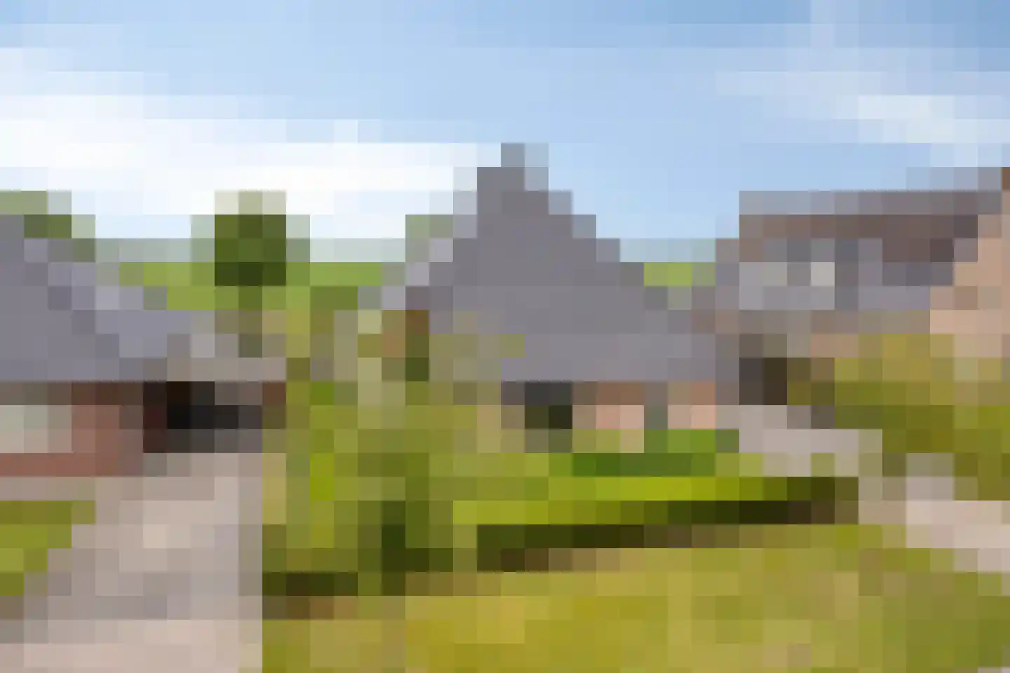 Vlegel 28 Erica thumbnail 7