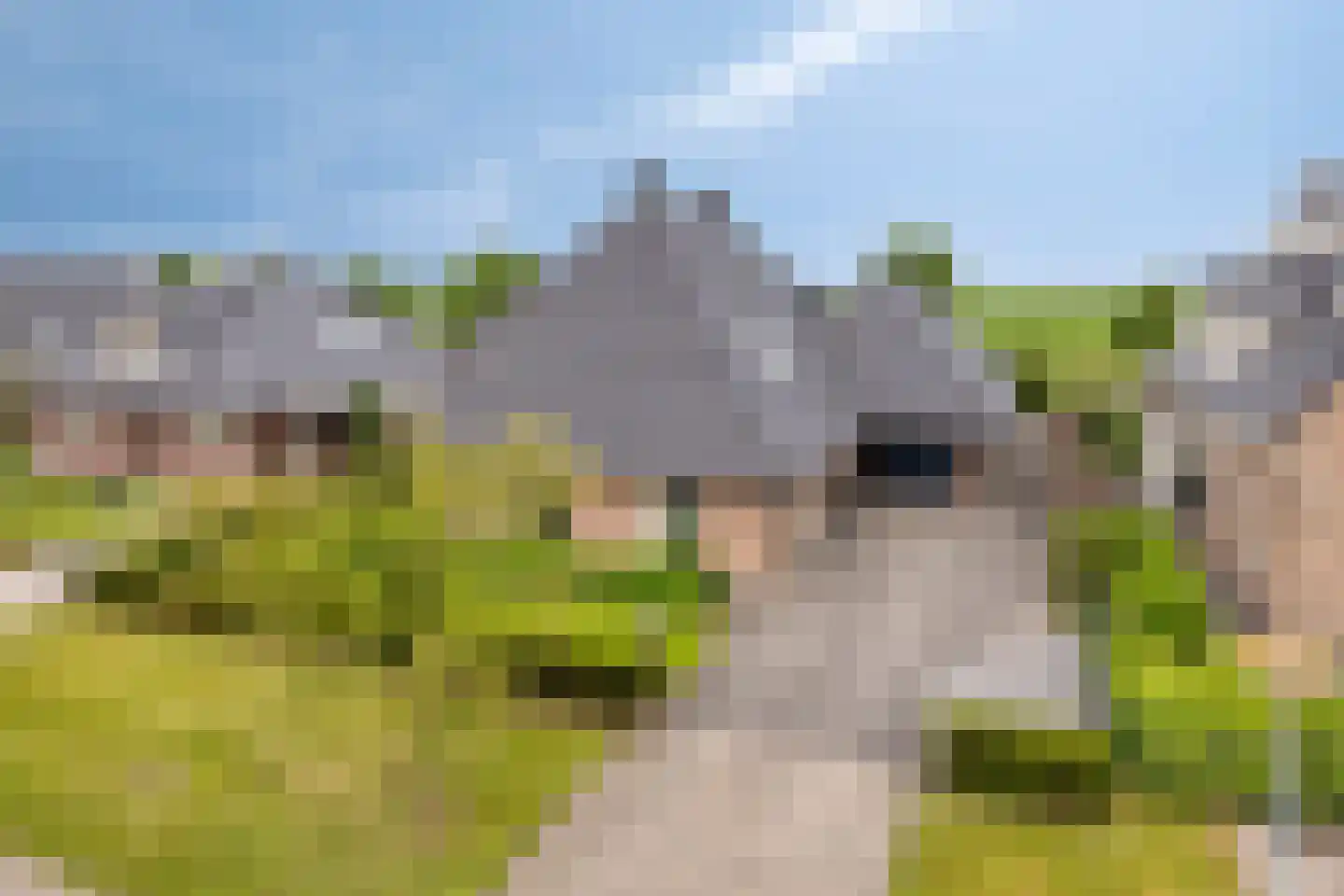 Vlegel 28 Erica thumbnail 8