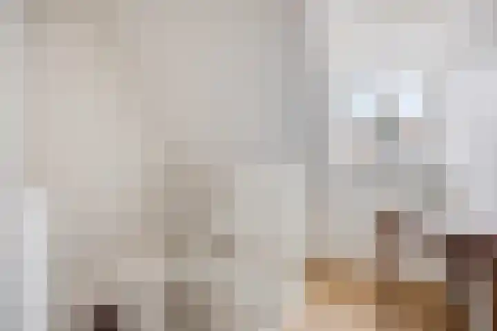 Vlegel 3 Rhenen thumbnail 15