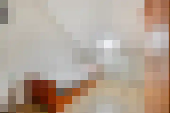 Vlegel 3 Rhenen thumbnail 16
