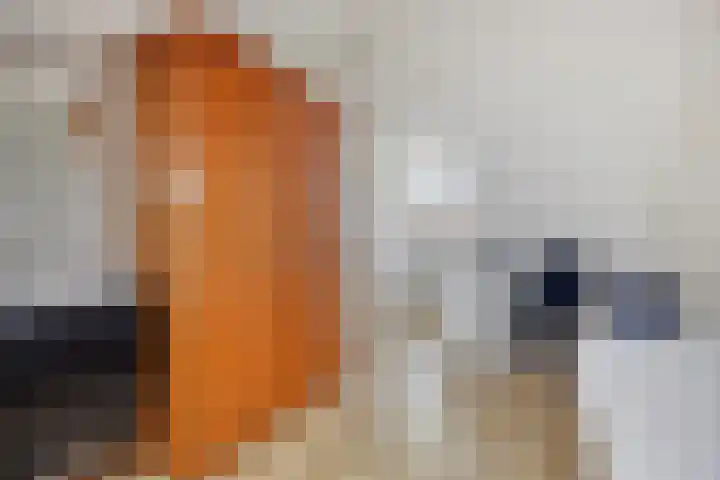 Vlegel 3 Rhenen thumbnail 17