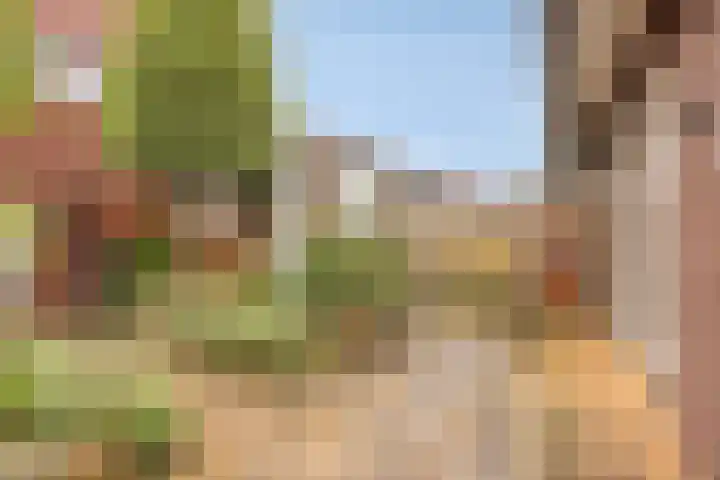 Vlegel 3 Rhenen thumbnail 18