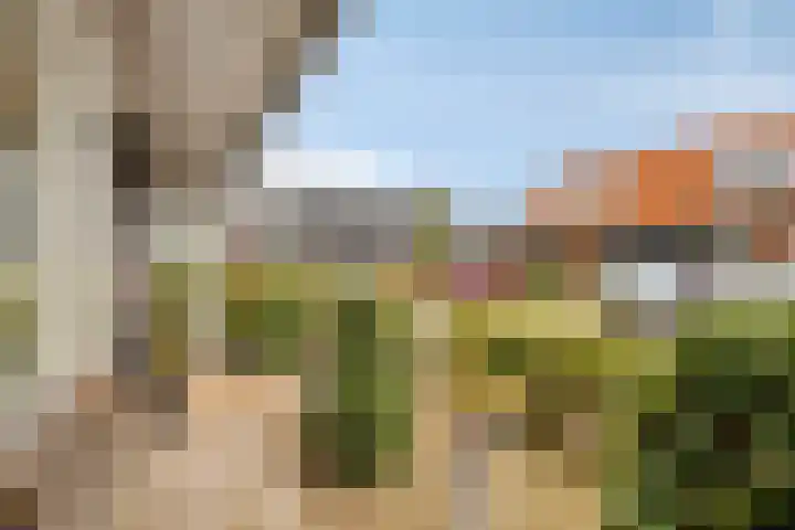 Vlegel 3 Rhenen thumbnail 20