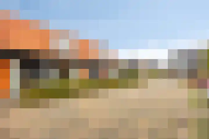 Vlegel 3 Rhenen thumbnail 22