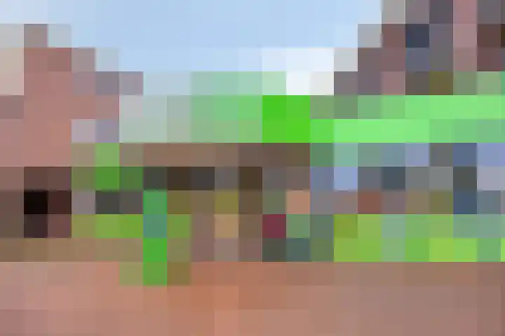 Vlegel 3 Rhenen thumbnail 23