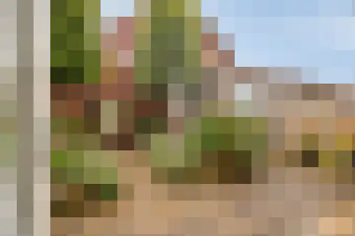Vlegel 3 Rhenen thumbnail 5